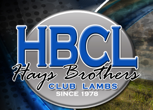 Hays Brothers Club Lambs